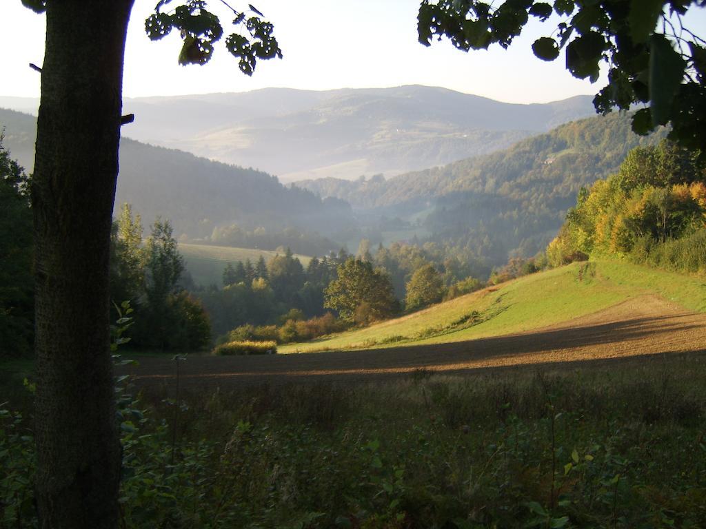 Agroturystyka Millerowka Kamionka Mala  Экстерьер фото